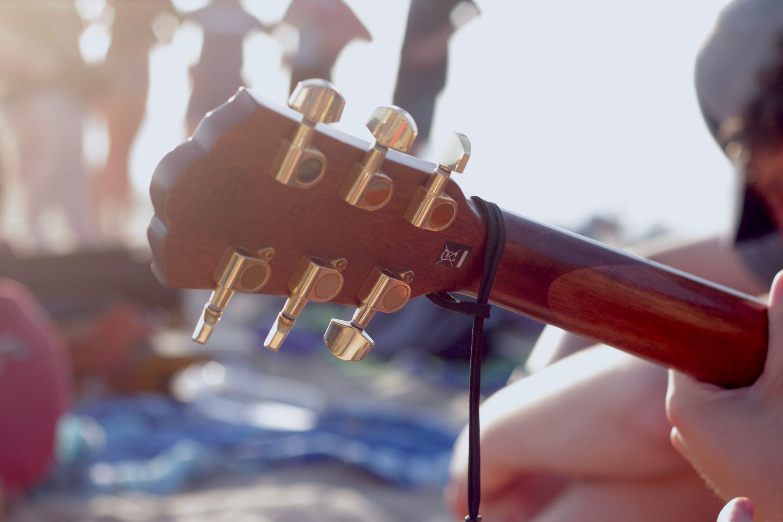 Summer Music Series